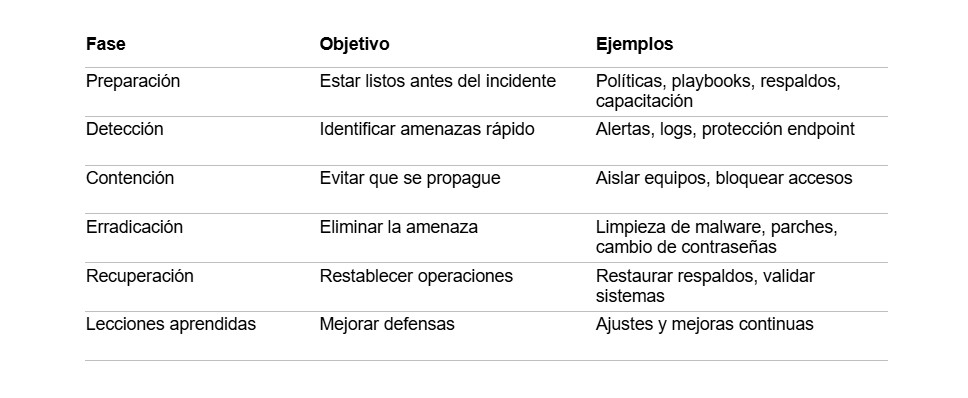 tabla Plan de Respuesta a Incidentes Ciberseguridad vitesse